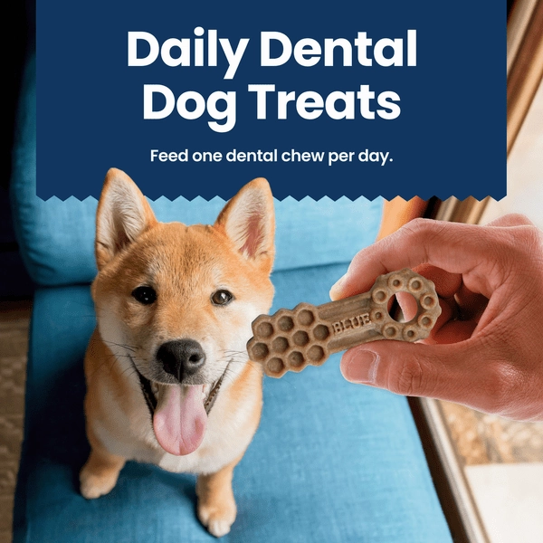 BLUE Dental Chews