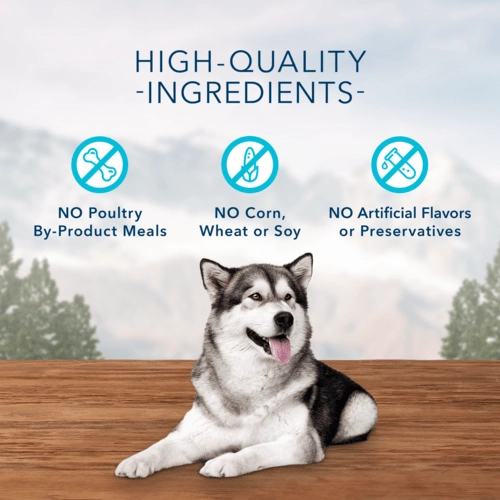 BLUE Wilderness Trail Treats Wild Bits Chicken Recipe Dog Training Treats