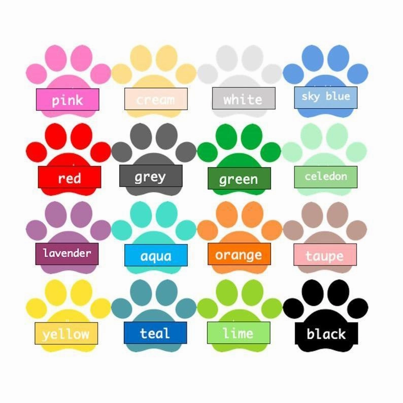 Border Collie 1 Dog Treat Jar