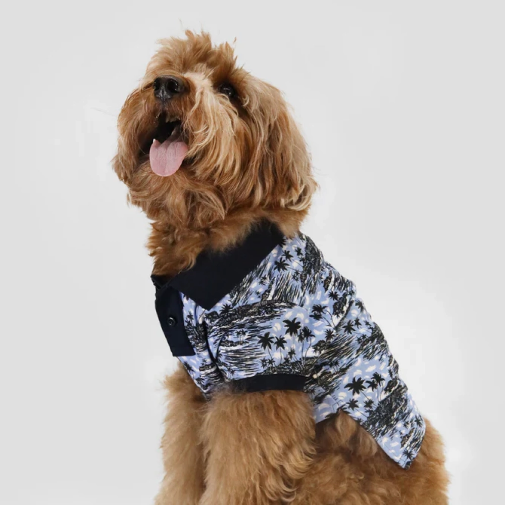 Boss Polo Tshirt for Dogs (Blue Palm)