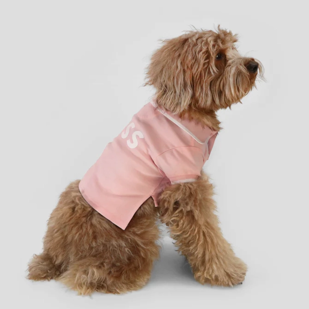 Boss Polo Tshirt for Dogs (Pink Cream)