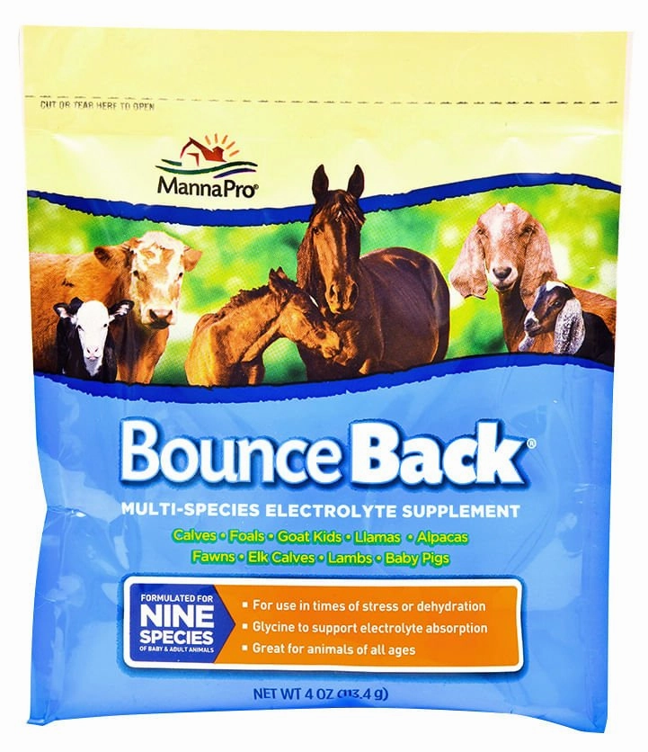 Bounce Back Multi-Species Electrolyte Supplement