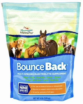 Bounce Back Multi-Species Electrolyte Supplement