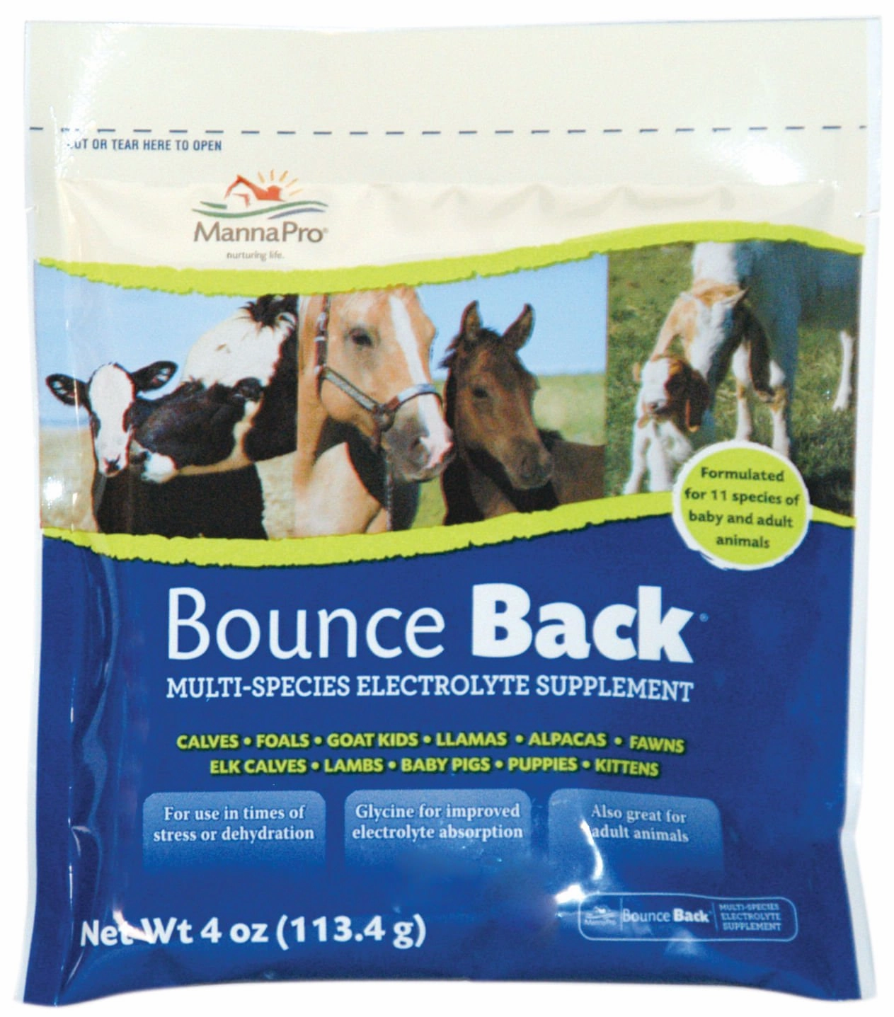 Bounce Back Multi-Species Electrolyte Supplement