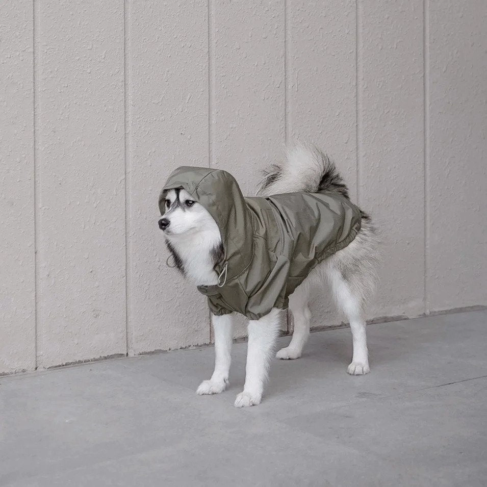 Brooklyn Dog Raincoat