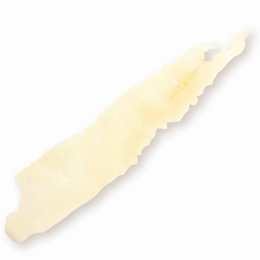 CattyMan Low-Salt Scallop Flavored Slices Cat Treats 15g (Exp Jul 2024)