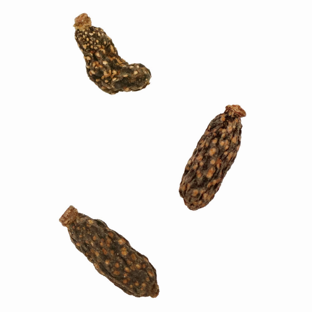 CattyMan Natural Silvervine Gall Fruits Cat Toy 15g