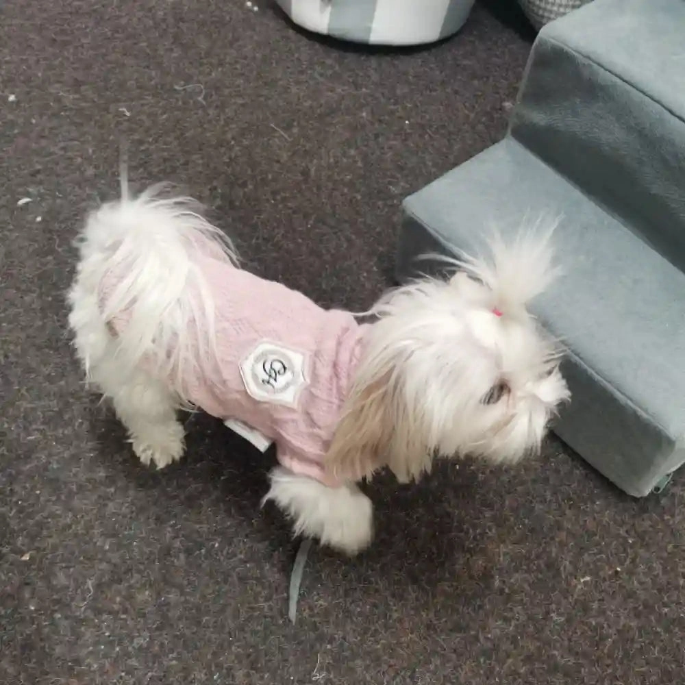 Chloe's Home Aspen Sweater for Dogs (Black)