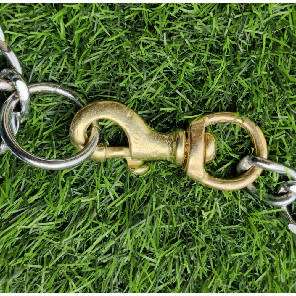 Chullbull Heavy Duty Brass Chain Leash for Dogs (Silver)