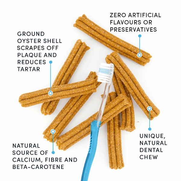 Crumps' naturals Plaque Busters Pumpkin Spice Dental Sticks