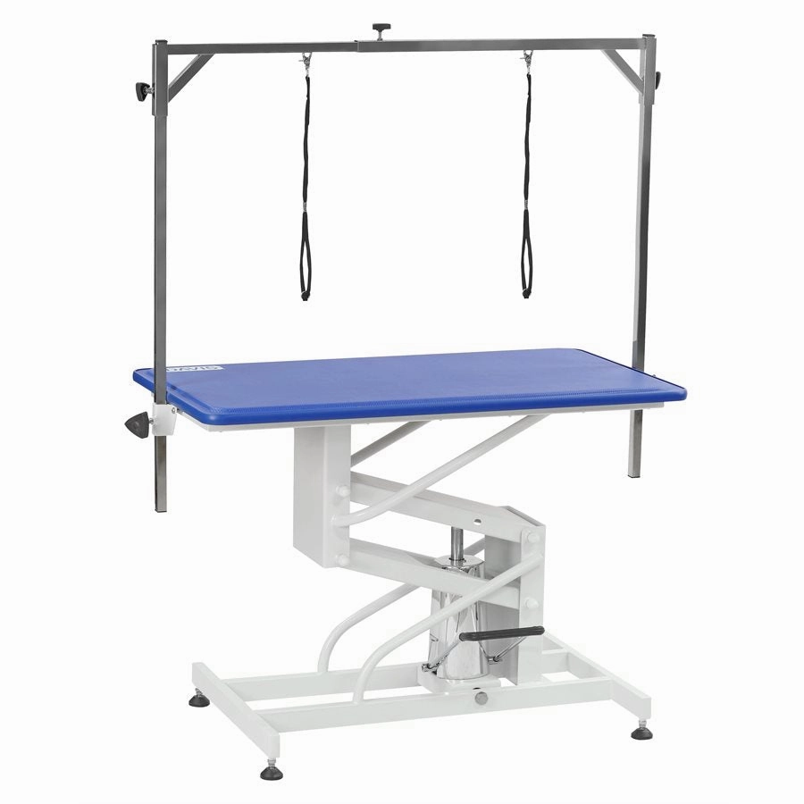 Davis Deluxe Hydraulic Grooming Table with Cushion Top for Dogs & Cats