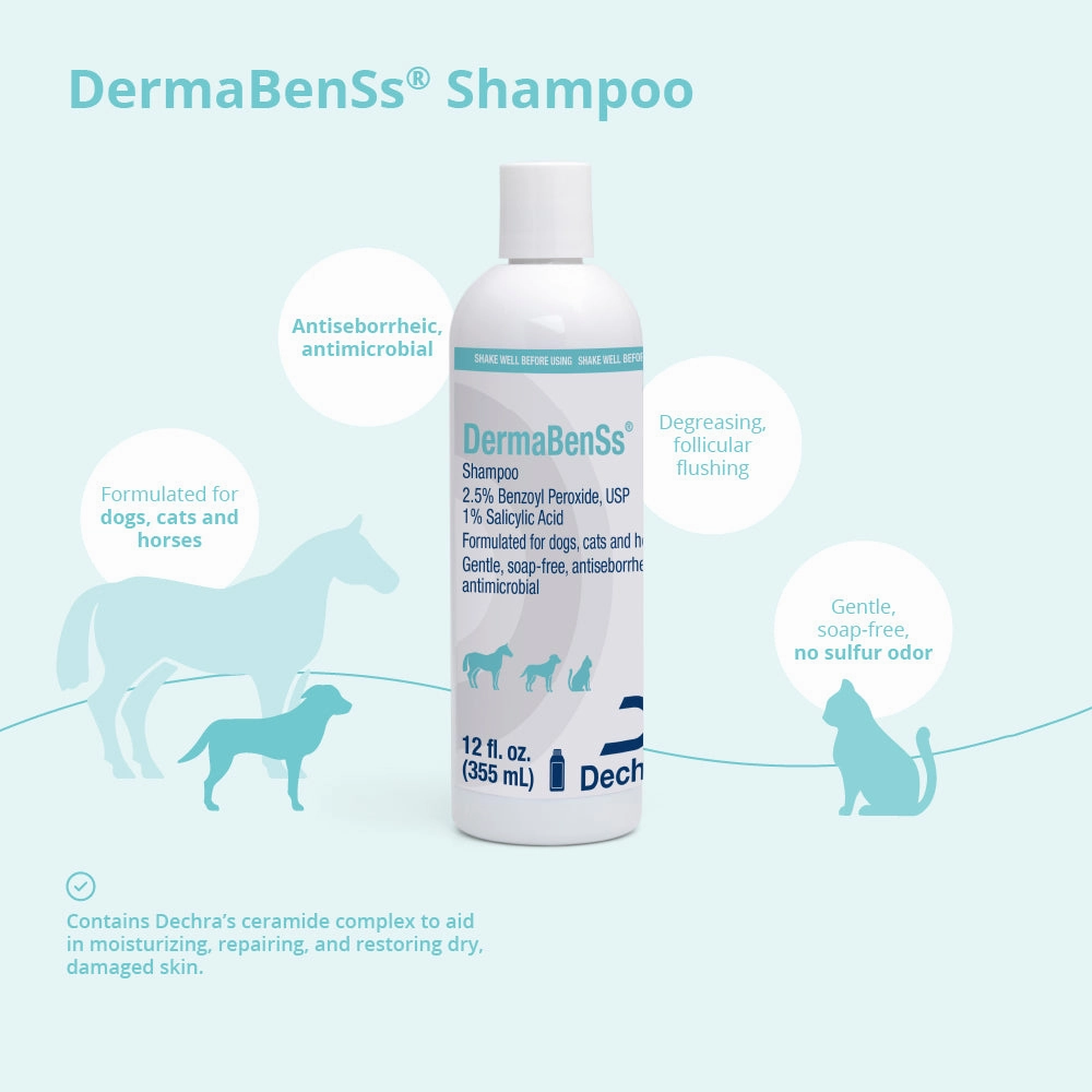 DermaBenSs Shampoo for Dogs, Cats, and Horses