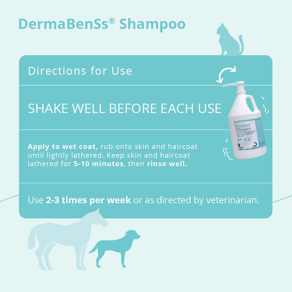 DermaBenSs Shampoo, Gallon