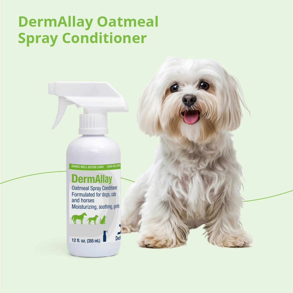 DermAllay Oatmeal Spray Conditoner