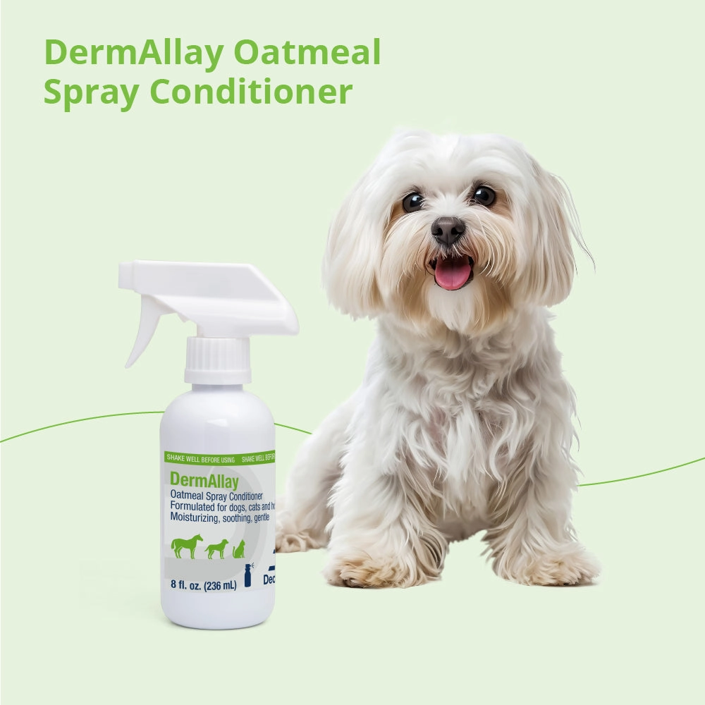 DermAllay Oatmeal Spray Conditoner