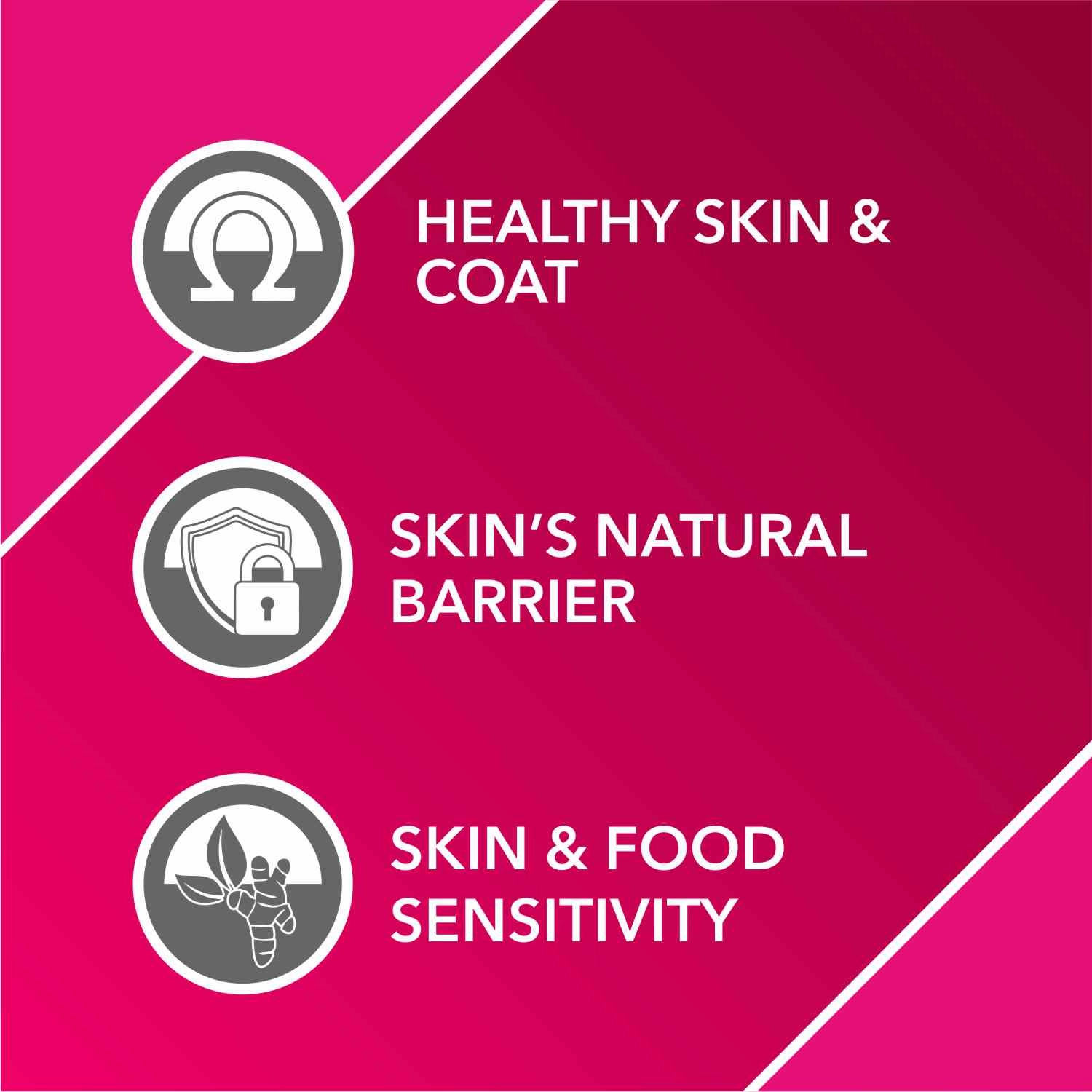 Drools Absolute Skin & Coat and  Absolute Calcium Supplement Tablets for Dogs Combo