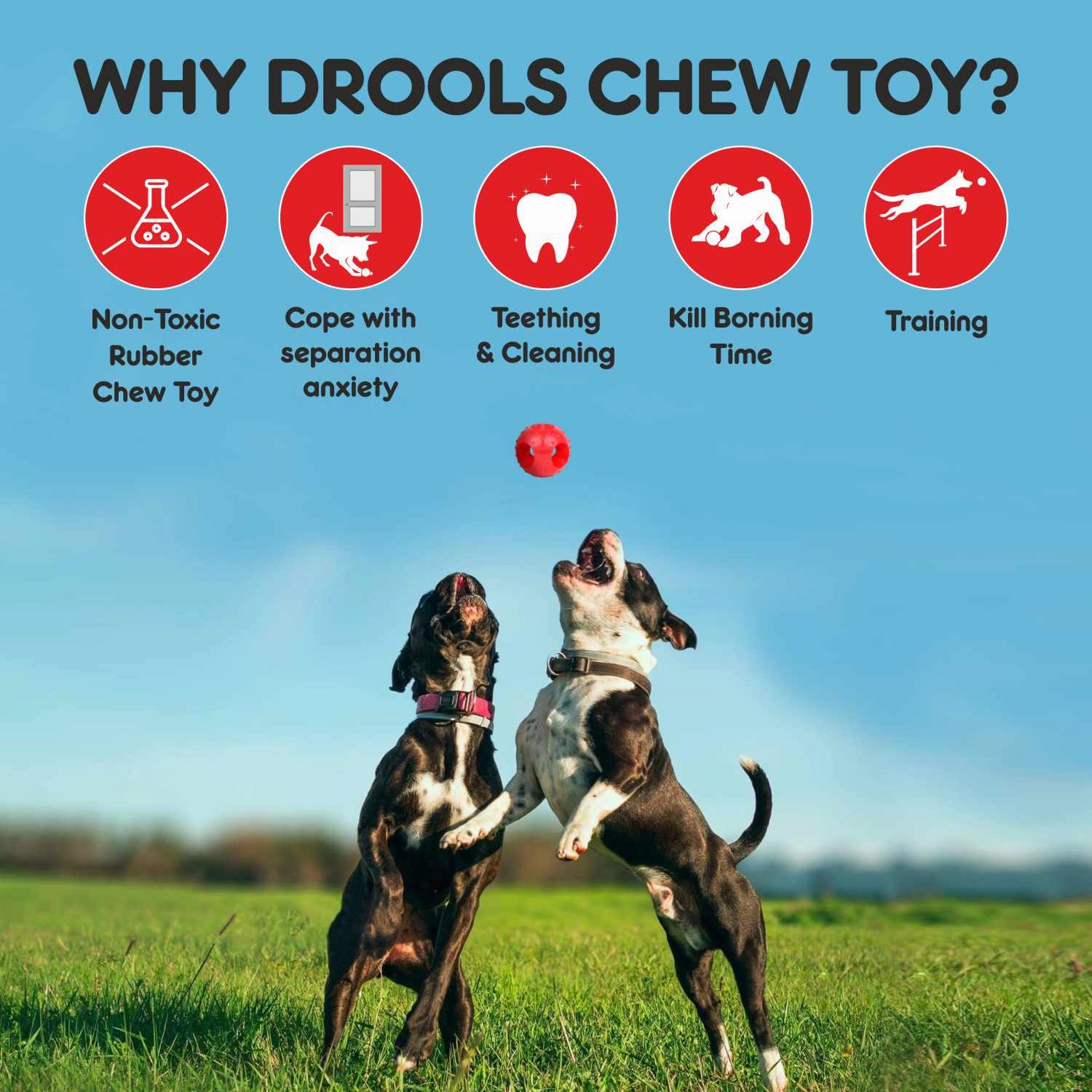Drools Non-Toxic Rubber Hole Ball Toy & Henlo Chicken Jerky Treats | High-Protein, Guilt-Free Dog Combo