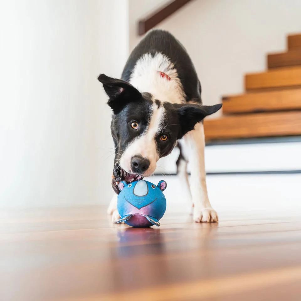 Durables Zoe The Zebra Ball Dog Toy