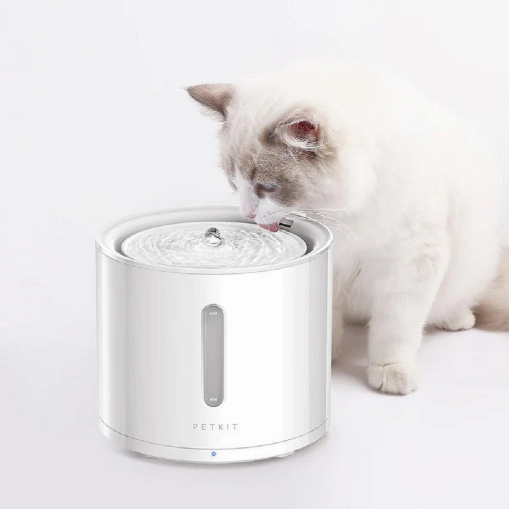 Eversweet Solo 2 Smart Pet Drinking Fountain (Wireless Pump)