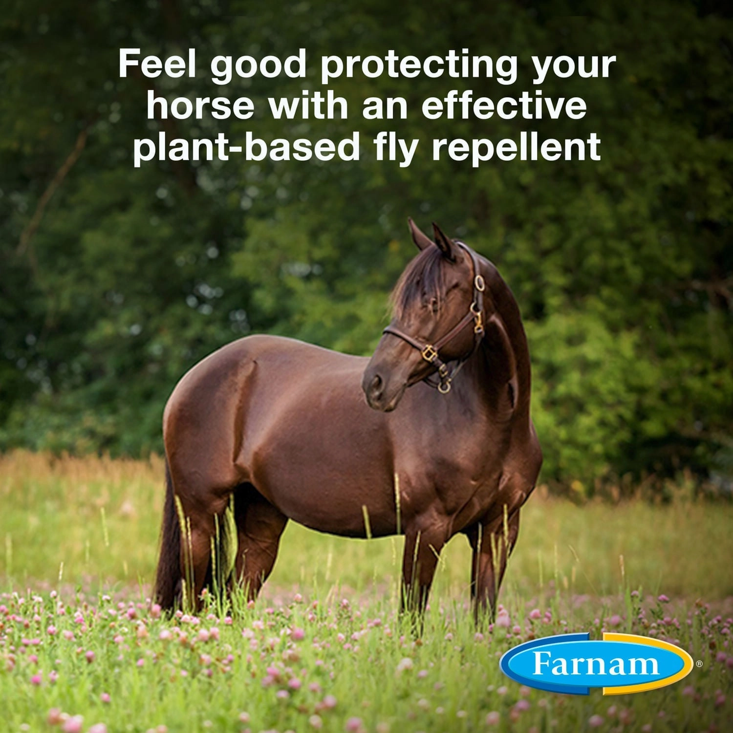 Farnam Equisect Water-Based Botanical Fly Repellent with Herbal Scent for Horses, Dogs and Cats