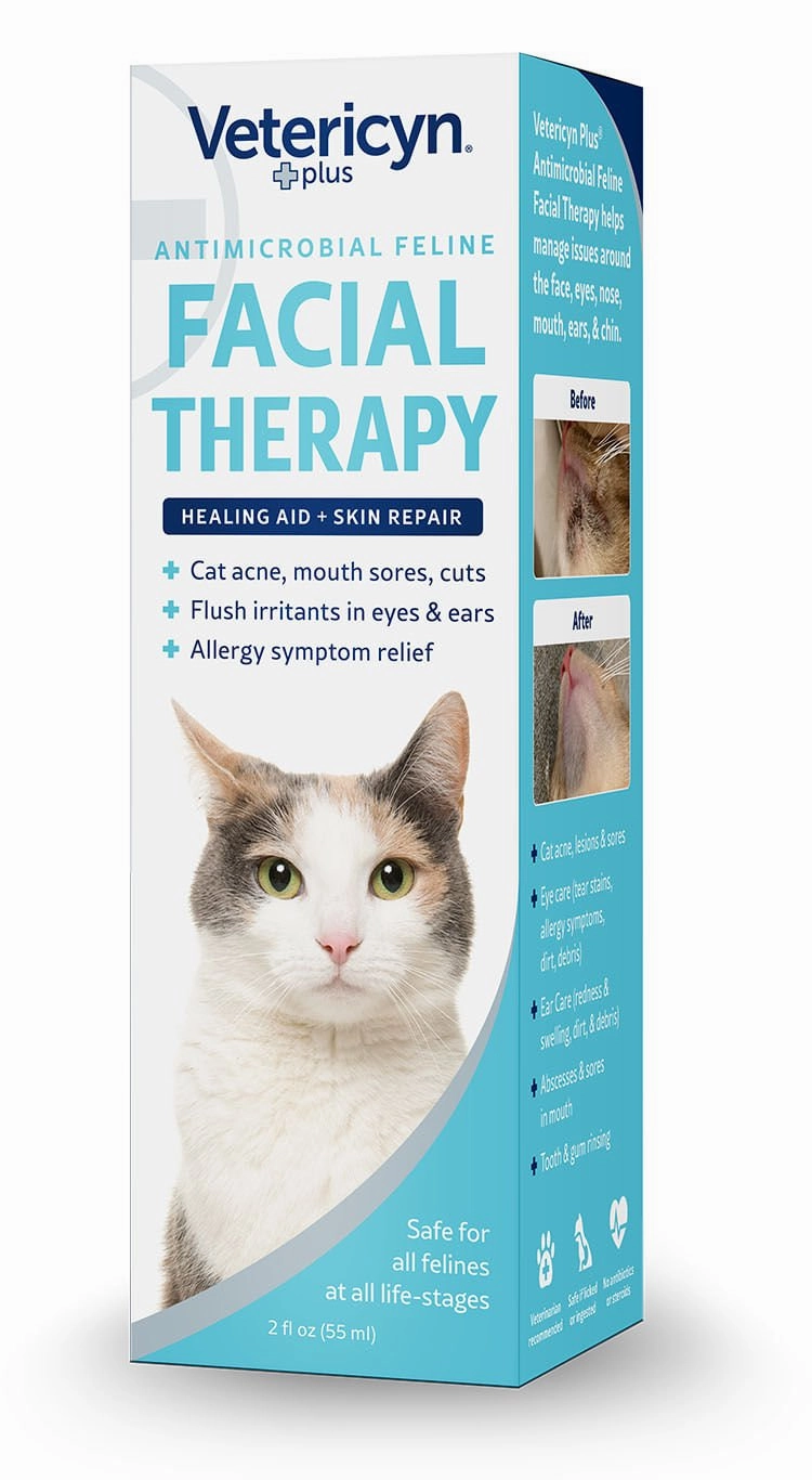 Feline Antimicrobial Facial Therapy