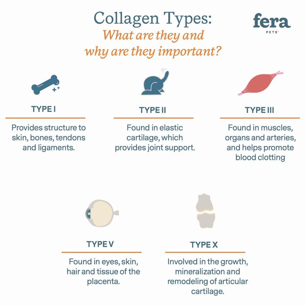 Fera Pets Collagen Plus Supplement Powder For Cats & Dogs 4.23oz