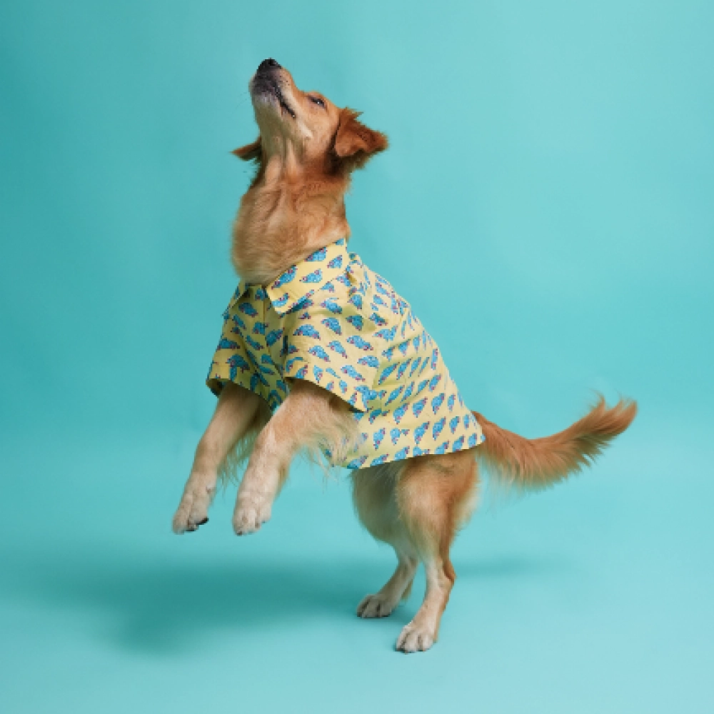 Floof & Co Car Print Cotton Shirt for Dogs (Yellow)