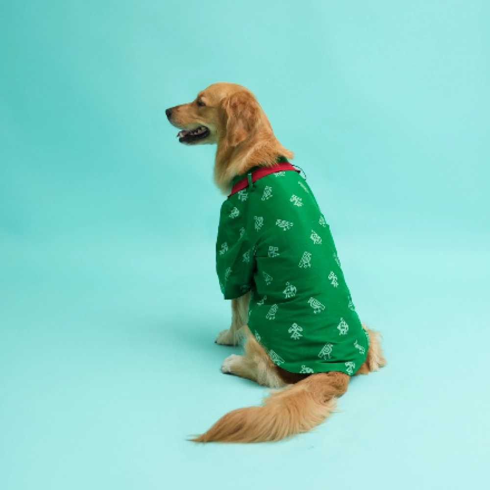 Floof & Co Cotton Patola Print Kurta for Dogs (Green)