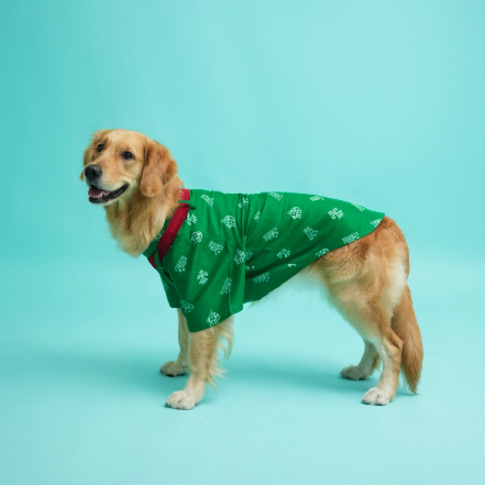 Floof & Co Cotton Patola Print Kurta for Dogs (Green)