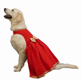 Floof & Co Silk Frock for Dogs (Red & Gold)
