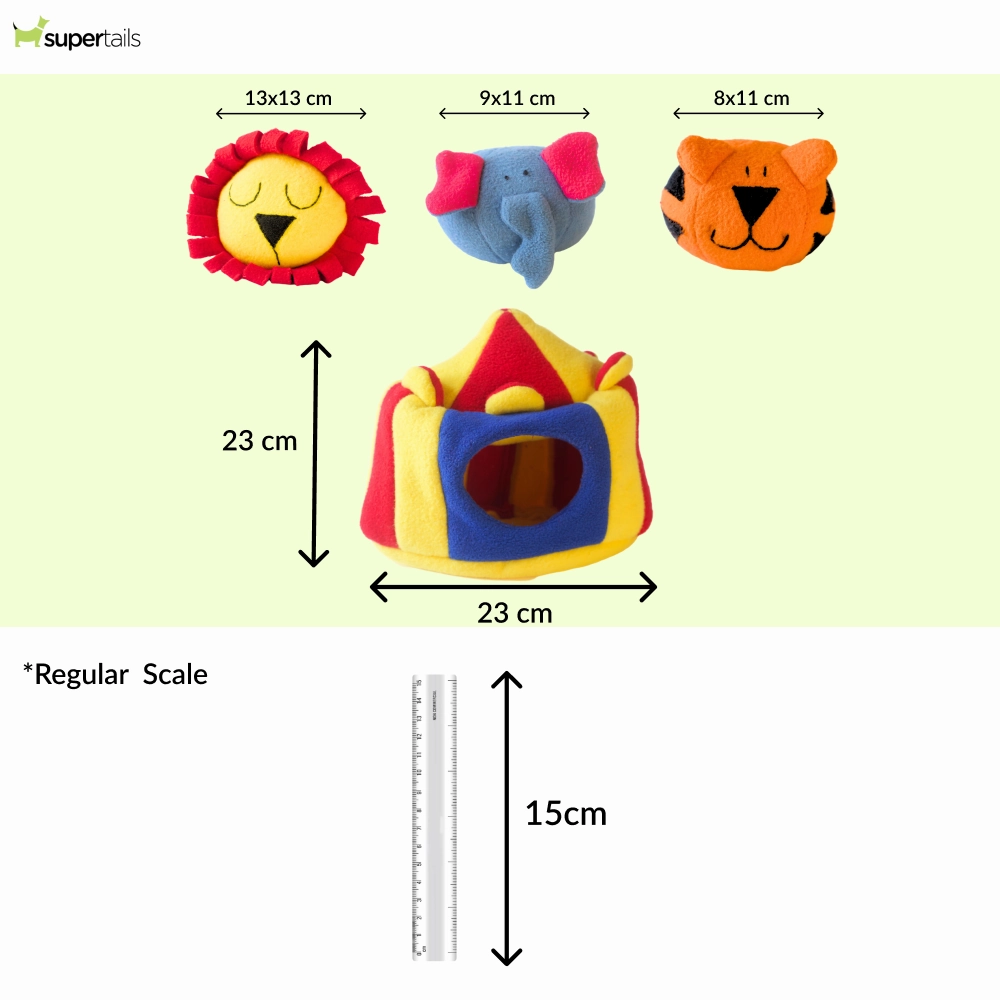 For The Love Of Dog Hide and Seek Squeaky Circus Toy for Dogs