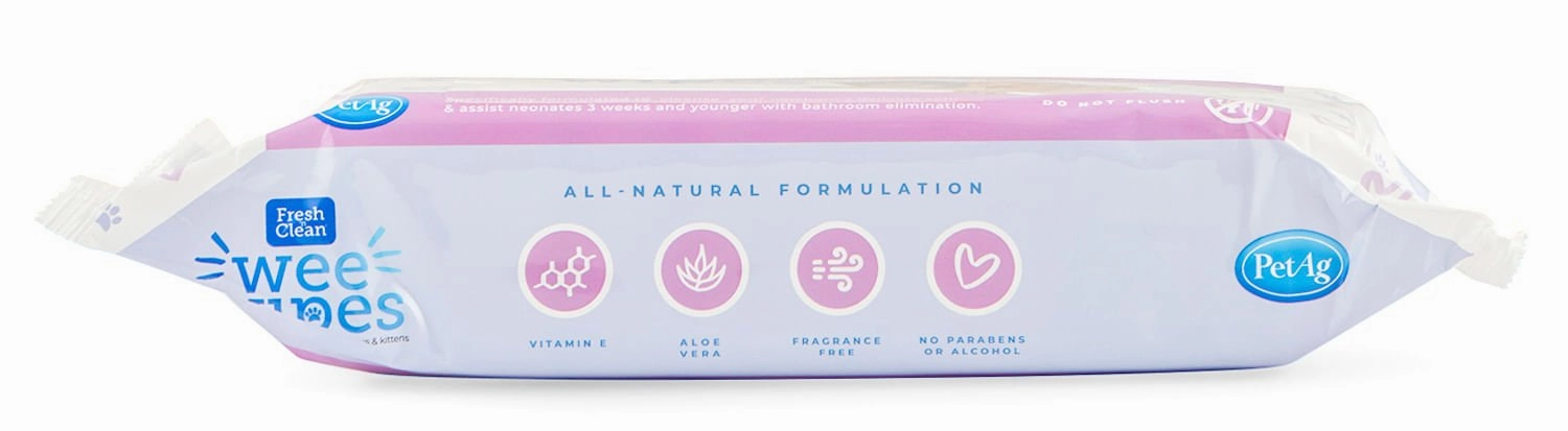 Fresh 'n Clean Wee Wipes, 64 ct