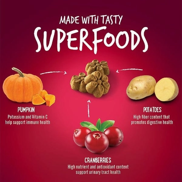 Fruitables Baked Pumpkin & Cranberry Dog Treats