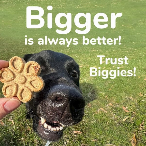 Fruitables Biggies Almond Butter & Coconut Dog Treats