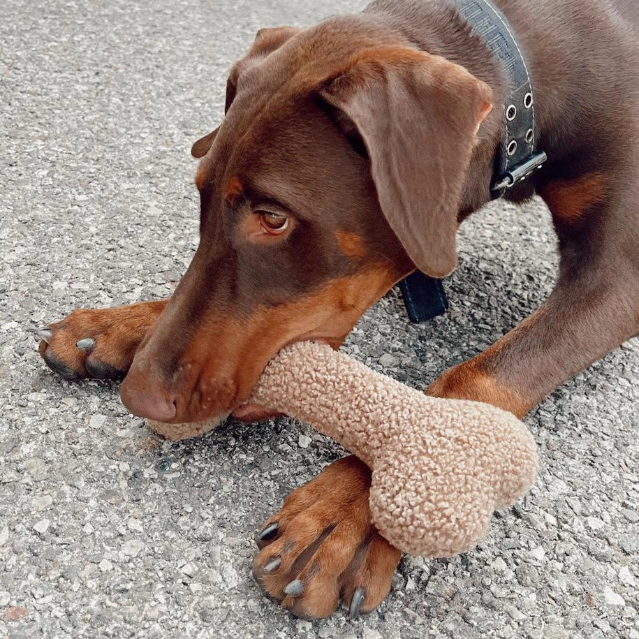 Funny Bone Dog Toy