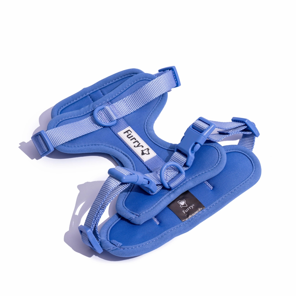 Furry & Co Bold Harness for Dogs (Everest Blue)