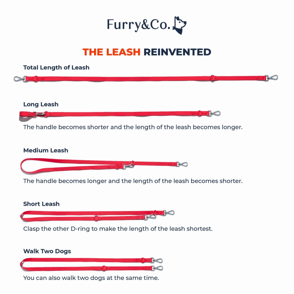 Furry & Co Bold Harness for Dogs (Mango)