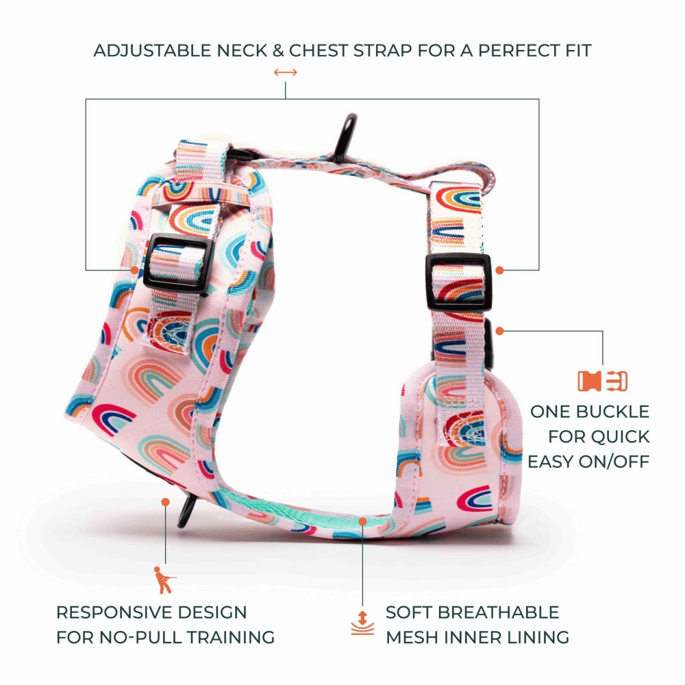 Furry & Co Raining Rainbow No Pull Harness for Dogs