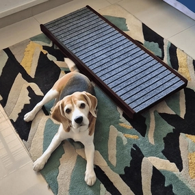 FurryLiving Wooden Ramp for Dogs and Cats (Dark Brown)