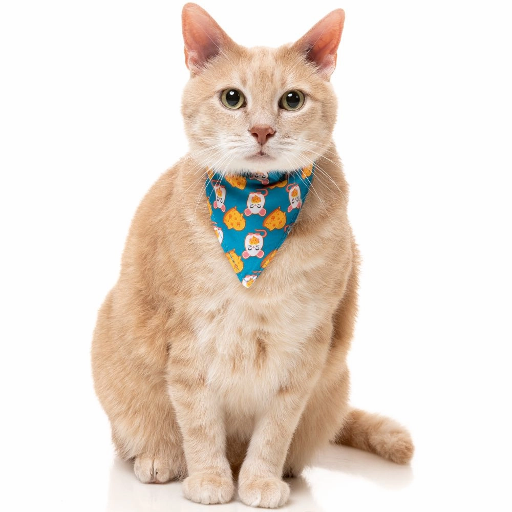 FuzzYard Cat Collar, Bandana & Bowtie Fashion Pack (Cheesy Hearts)