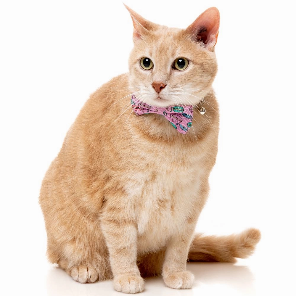 FuzzYard Cat Collar, Bandana & Bowtie Fashion Pack (Meowcarons)