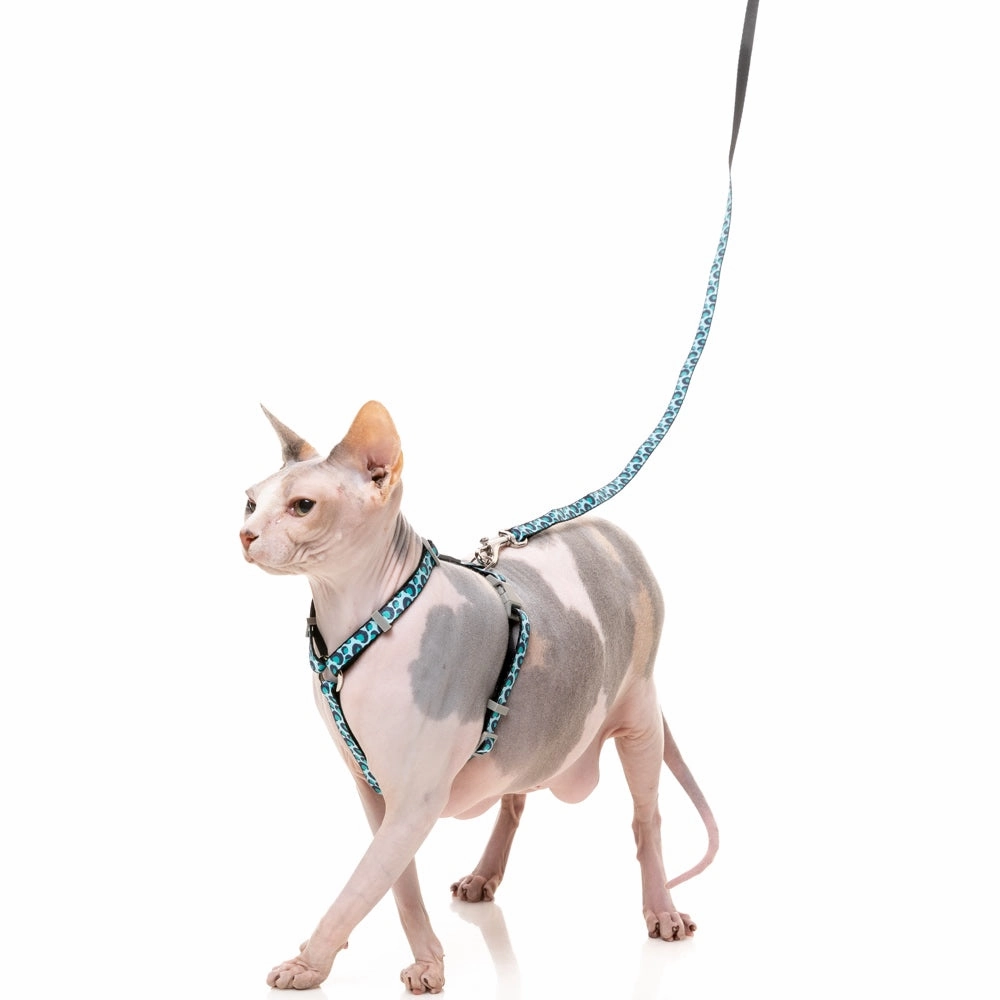 FuzzYard Cat Harness & Leash Walking Set (Wild One Aqua)