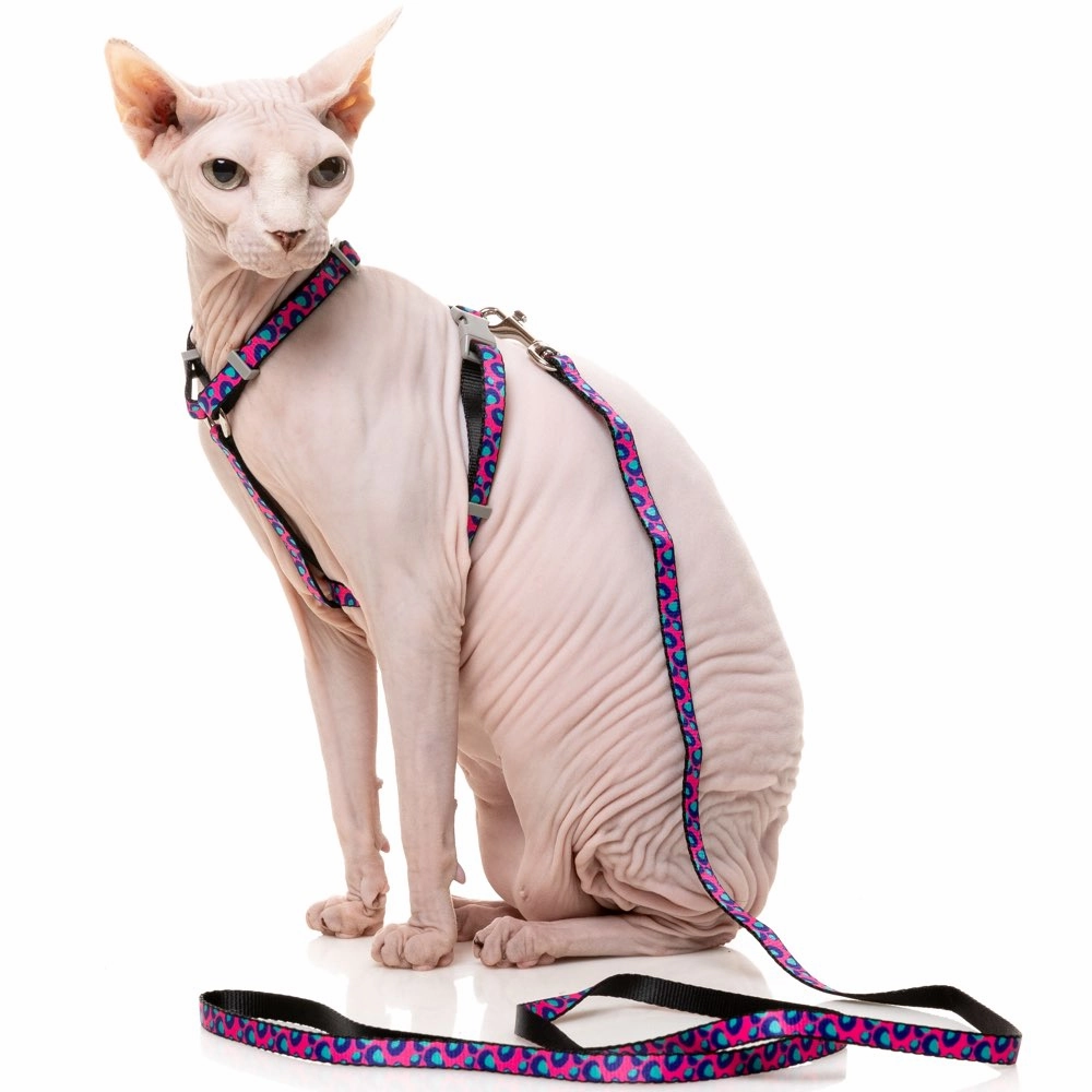 FuzzYard Cat Harness & Leash Walking Set (Wild One Bubblegum)