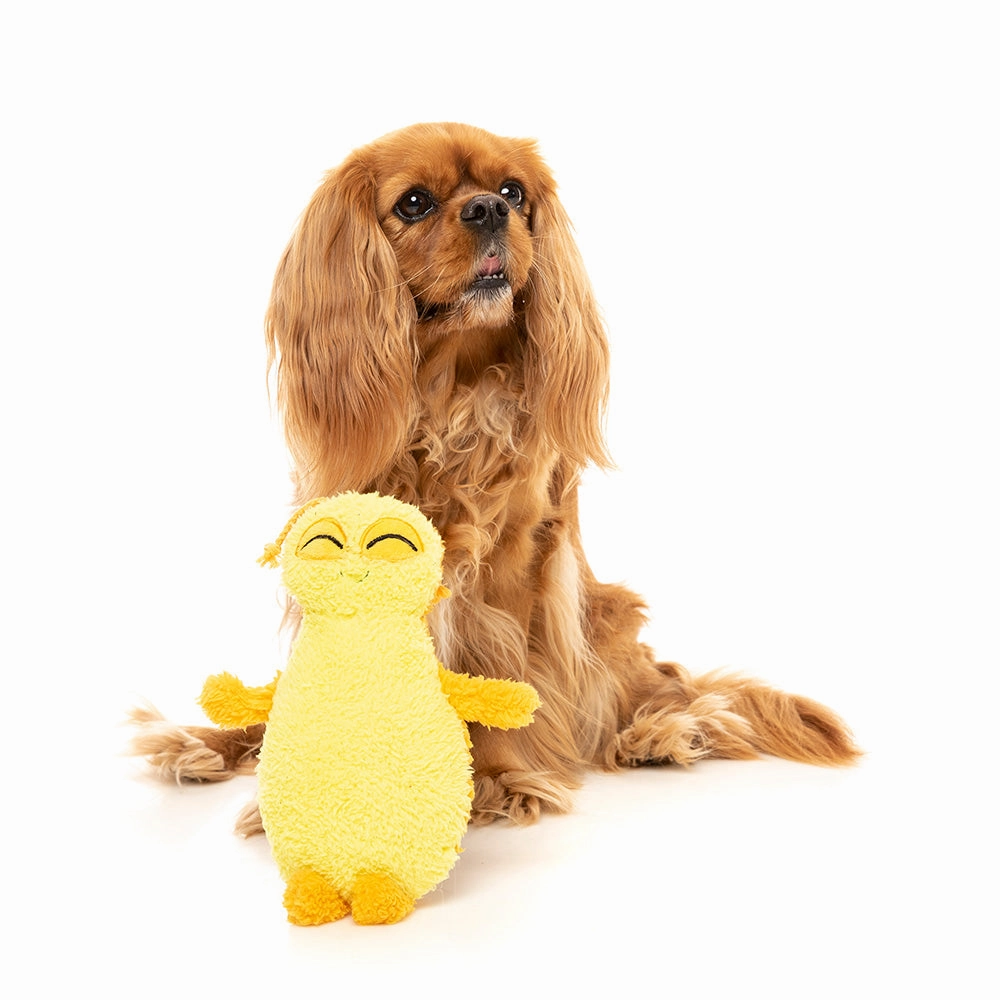 FuzzYard Dog Plush Toy - Belly The Bed Bug Yellow