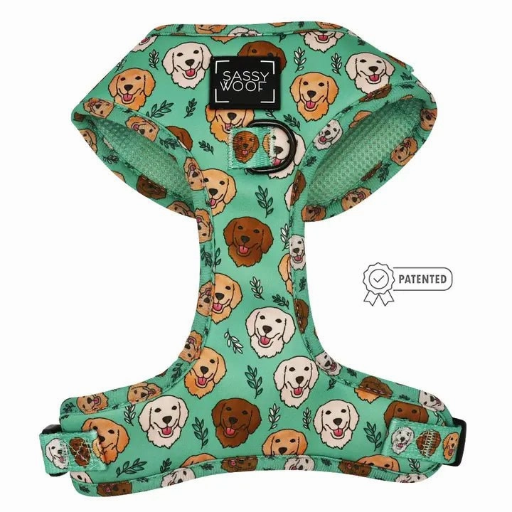 Glam Goldens Adjustable Harness