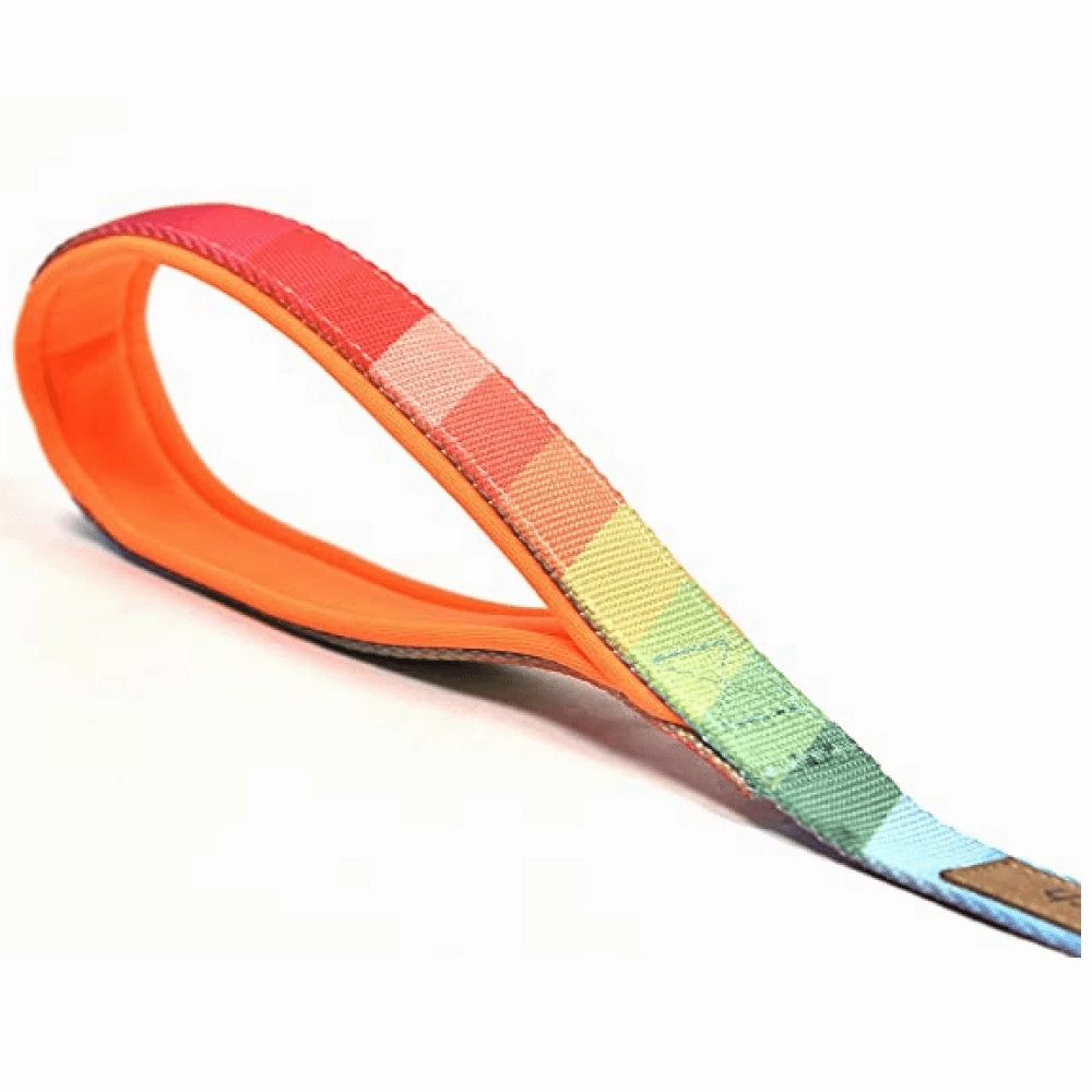 Glucklich Heavy Duty Printed Leash for Dogs (Rainbow)