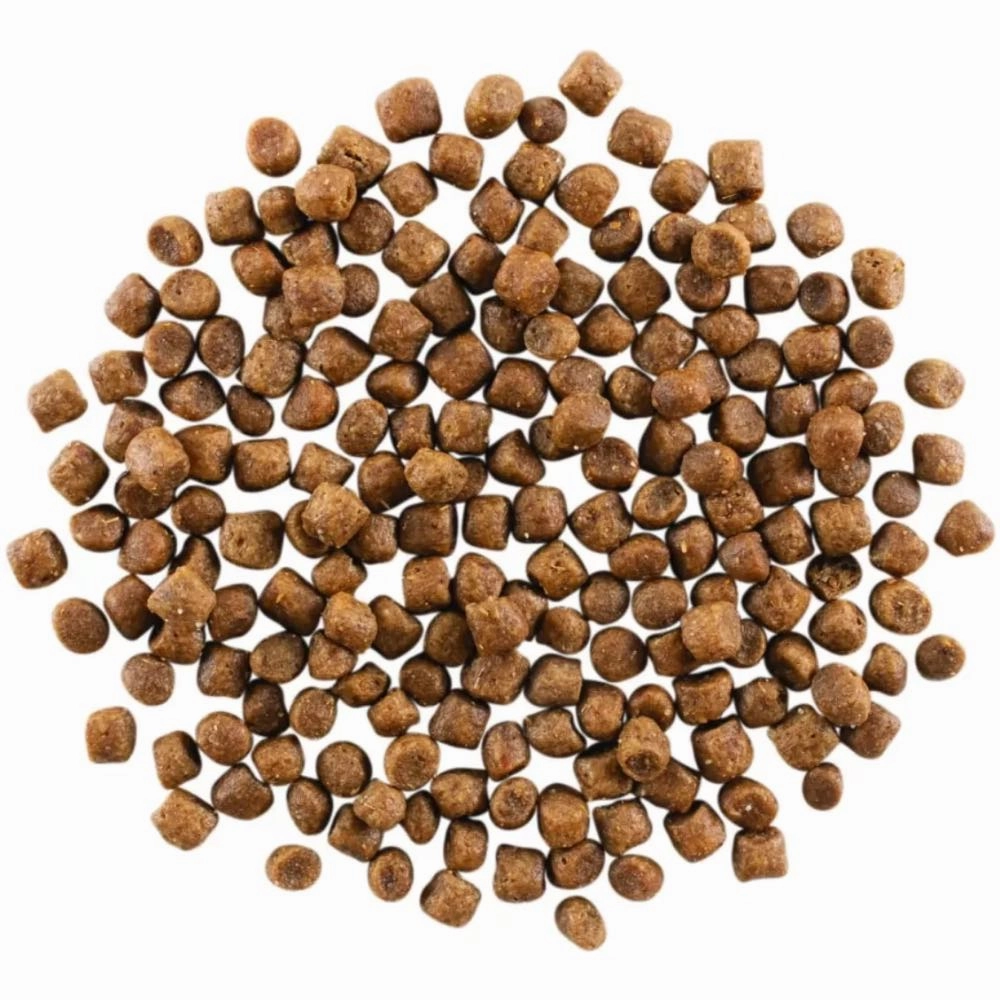 Go! Solutions Carnivore Grain Free Chicken Turkey   Duck Recipe Dry Cat Food 3lb