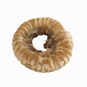 Golden Bridge Trachea Ring