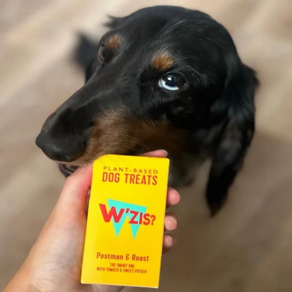 Grab&Go: Postman & Roast Treats for Dogs