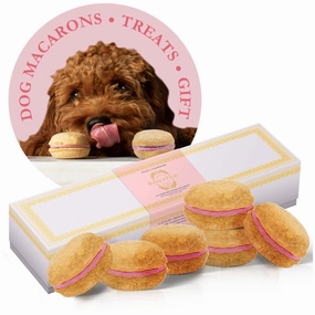 Handmade Macarons Boxed Dog Treats
